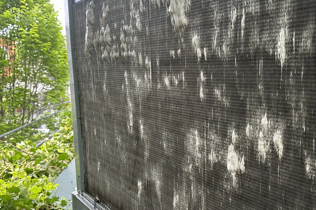 Cleaning foam applied across the face of a condenser coil