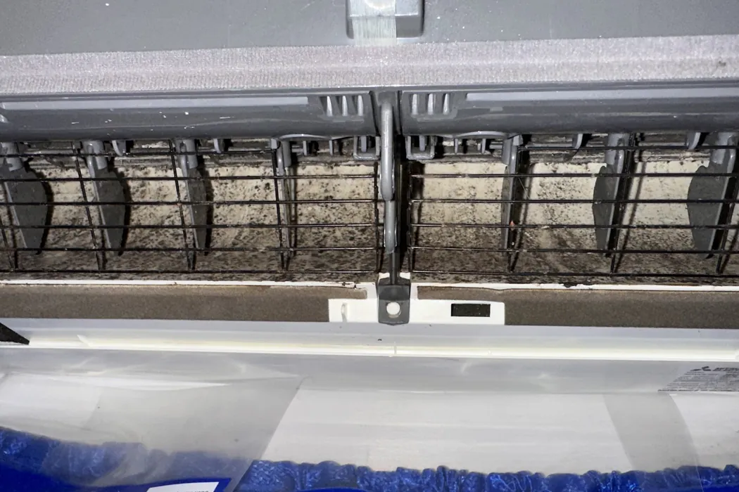 Mini-split blower wheel speckled with mold behind its cage